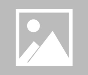 【国际友谊】澳大利亚女足vs巴拿马女足伤病名单最新(2025年07月05日)